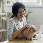Osservatorio dei Consumi Online: il Pet Food tra digitalizzazione e nuove abitudini di acquisto