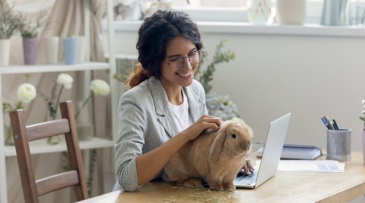 Osservatorio dei Consumi Online: il Pet Food tra digitalizzazione e nuove abitudini di acquisto
